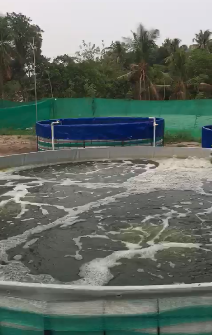 Biofloc aeration